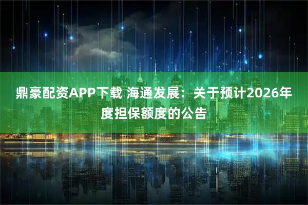 鼎豪配资APP下载 海通发展：关于预计2026年度担保额度的公告